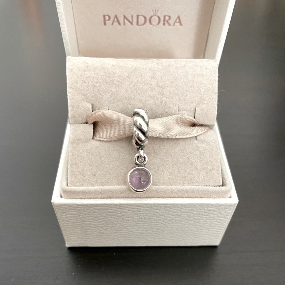 Pandora Amethyst Disc Charm